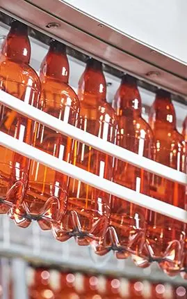 Envasado de Botella CSD